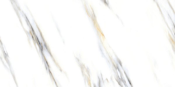 shop-2_01